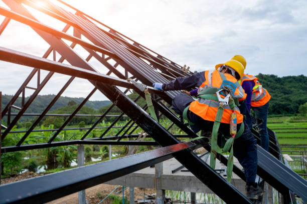 Best New Roof Installation  in Luna Pier, MI