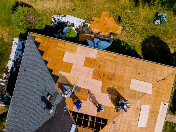 Best Roof Repair Services  in Luna Pier, MI