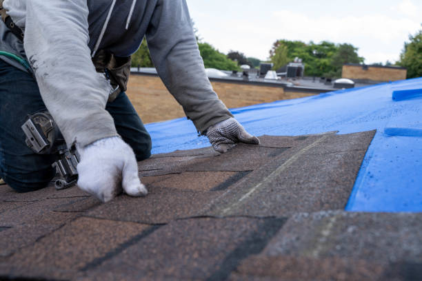 Roof Waterproofing Services in Luna Pier, MI