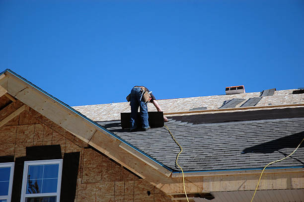 Best Local Roofing Companies  in Luna Pier, MI