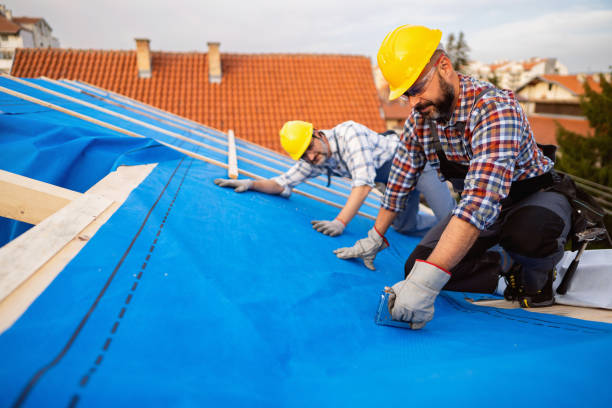 Gutter Installation and Roofing in Luna Pier, MI