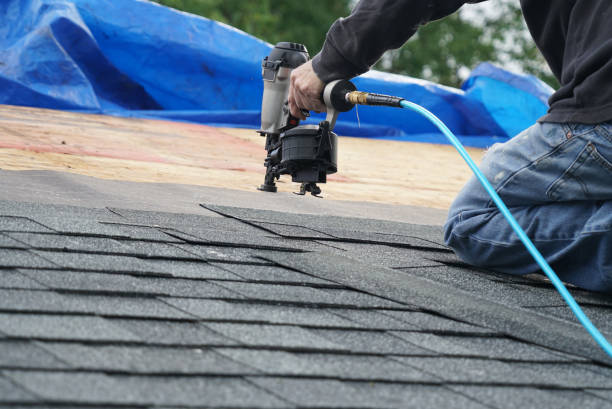 Best Commercial Roofing Services  in Luna Pier, MI