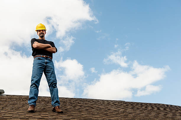 Professional Roofing Contractor in Luna Pier, MI