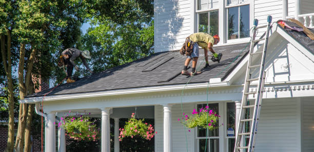 Best Emergency Roof Repair  in Luna Pier, MI