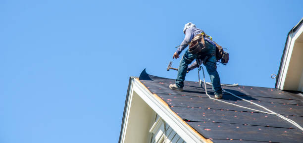 Best Roof Inspection Near Me  in Luna Pier, MI
