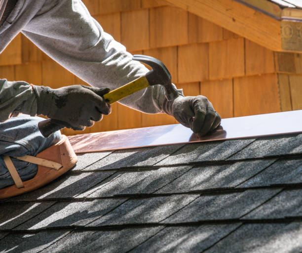 Best Roof Gutter Cleaning  in Luna Pier, MI